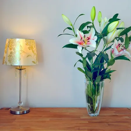 Spacious Rugby Field With Off-street Parking And Ev Fast Point For Electric Cars